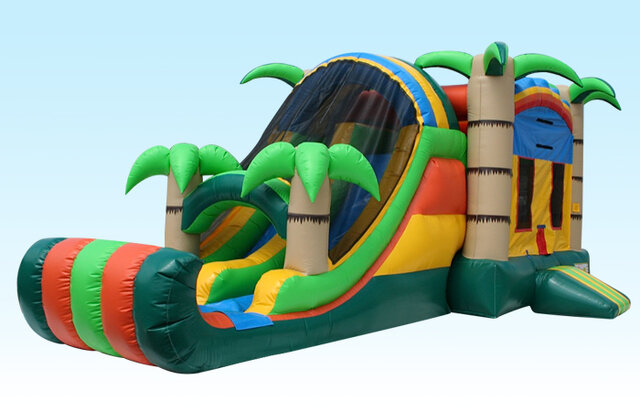 Palm Tree WET/DRY Combo Bouncer